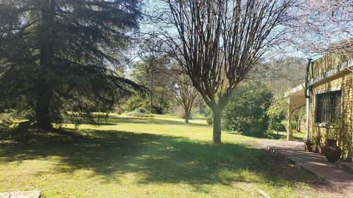 Oportunidad Casa 7500 M2 Sobre 2 Lotes - Abasto