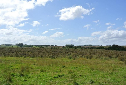 Campo En Venta