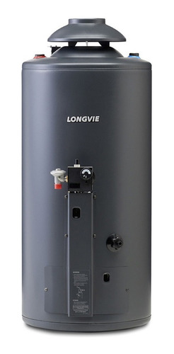 Imagen 1 de 1 de Termotanque a gas natural Longvie Potenciado TP860AR-N grafito 56L