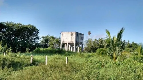 Rancho Agrícola Y Ganadero En Champotón Campeche. 50 Hectareas De Pastizales.