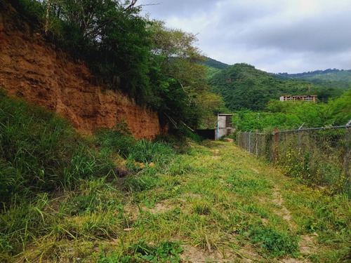 Imagen 26 de 30 de Terreno En Mampote Mls: 23-6747 (linda Sahhar)
