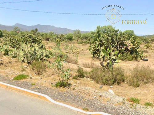 Terreno En Villa De Tezontepec