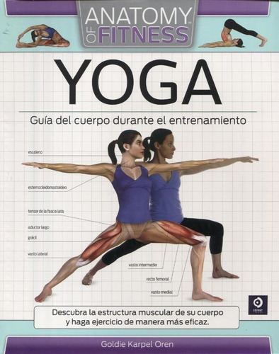 Yoga - Goldie Karpel Oren