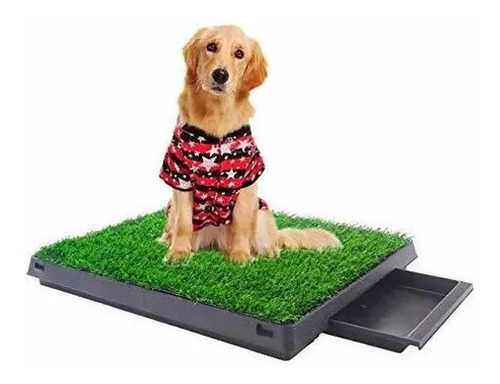 Baño Portatil Multifuncional Para Perro