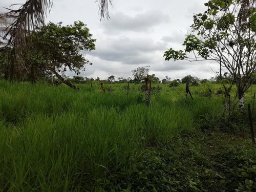 Imagen 4 de 22 de Vendo Hermosa Hacienda