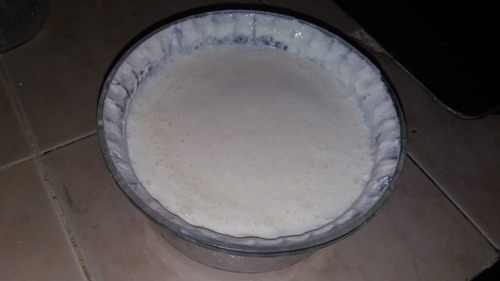 Imagen 2 de 4 de Kefir (hongos Bulgaros Para Hacer Yogurt Casero)