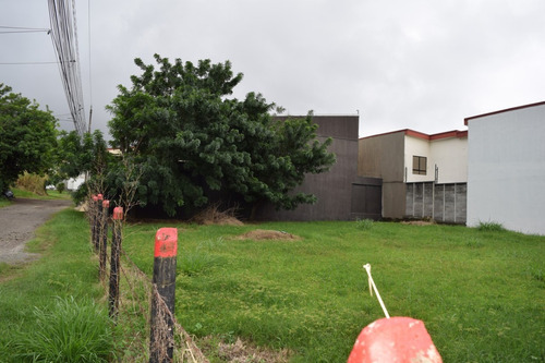 Imagen 11 de 13 de Lote 590 M2, Con 29m De Frente A Calle, Es Plano, Y Se Ubica A 500m Mas X Menos San Joaquín. Potencial Para Apartamentos