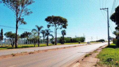 Imagem 2 de 6 de Locação - Área Industrial - Americana - Americana - Sp - D0187