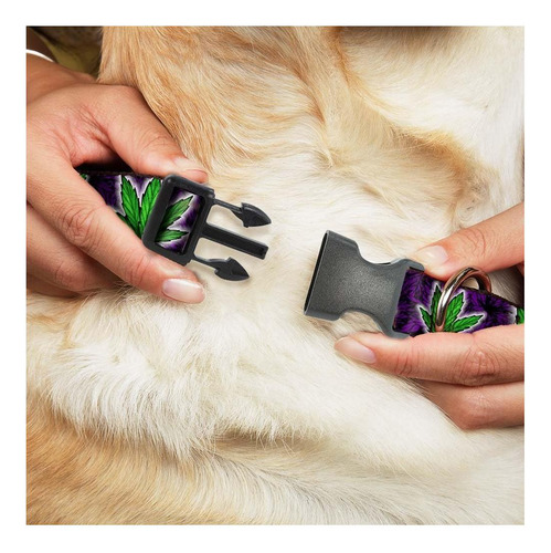 Collar Con Clip De Plástico Marijuana Haze Purple Mediano