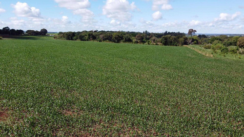 Imagem 5 de 5 de Área À Venda, 8000 M² Por R$ 960.000,00 - Imóvel Alwin - Foz Do Iguaçu/pr - Ar0014