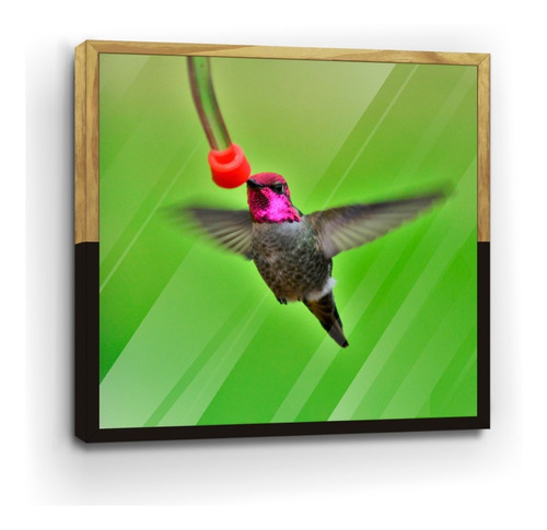 Cuadro De Madera Con Poster Hermoso Colibri 50x50cm