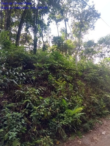 Imagem 6 de 9 de Terreno - Te00046 - 69207640