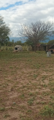 Mega Oportunidad!!!venta De Lotes En La Punta San Luis