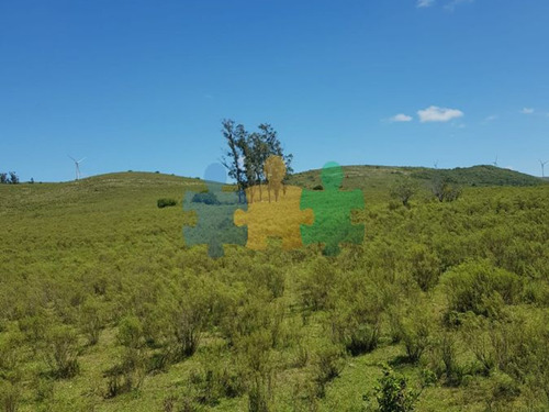 Imagen 4 de 7 de Maldonado Ruta 39 Campo De 64 Has - Ref : Eqp2785