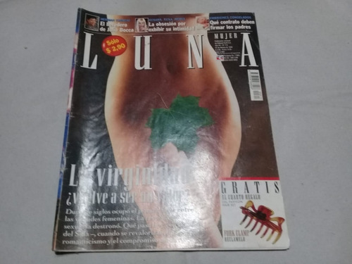 Lote De Revistas Luna