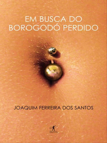 Em Busca Do Borogodó Perdido, De Santos, Joaquim Ferreira Dos. Editora Objetiva, Capa Mole, Edição 1ª Edição - 2005 Em Português