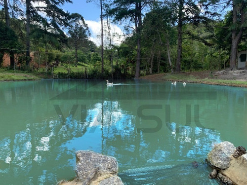 Imagem 14 de 30 de Lindo Sitio, Com 03 Nascentes! Ideal Para Lazer E Criação. - 118 - 69225614