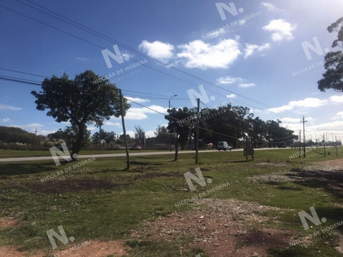 Imagen 2 de 14 de Terreno En Maldonado, Ruta 39 - Maldonado Ruta 39