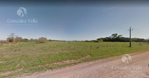 Imagen 2 de 2 de Chacra - Colonia Estrella