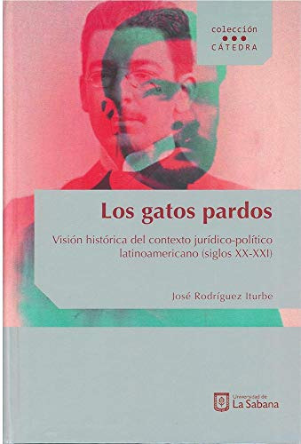 Libro Los Gatos Pardos  De José Rodríguez Iturbe Ed: 1