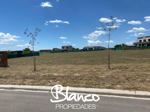 Imagen 5 de 14 de Oportunidad! Espectular Lote Con Fondo A Pulmón Verde En Pilar Del Este - Santa Lucía