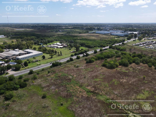 Imagen 6 de 12 de Lote / Terreno / Predio Industrial / Comercial En Venta De 6,3 Has En Florencio Varela
