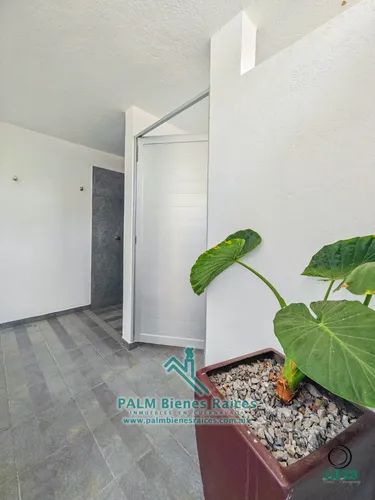 Lomas De Cortes - Casa Tipo Loft - Semi Amueblada - Alberca Climatizada, Vigilancia 24 Hrs.