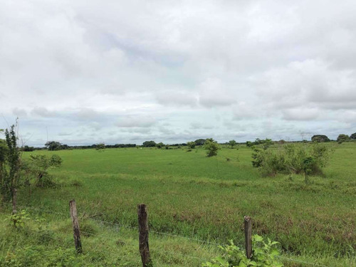 Imagen 3 de 21 de Finca Cerca De Rio Tiznado A 50 Km De Calabozo