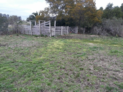 Campo De 6 Has 932 M 2 Ubicado En Ruta 60