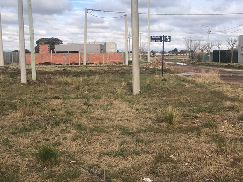 Venta Terreno / Lote Nueva Belgrano