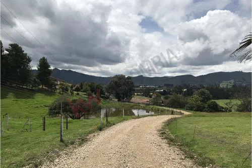 Venta Finca En La Vereda Juaica En Tenjo Cundinamarca-9491 (9491).