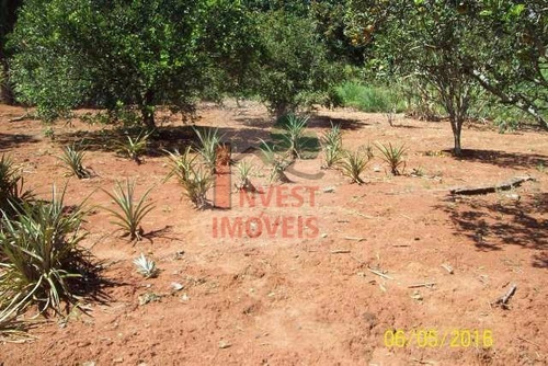 Imagem 4 de 8 de Terreno - Ref: 1223 - V-1223