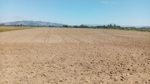 Vendo Parcela , En Longavi, Vll Region