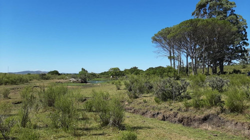 Chacra A 25km De Punta Del Este Y 10 Km De Piriápolis