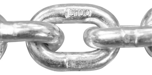 Garrucha De Aluminio 360° 250kg Cadena De 3 Metros Dogotuls