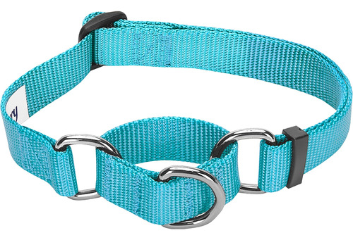 Blueberry Pet Essentials Martingale Collar De Entrenamiento 