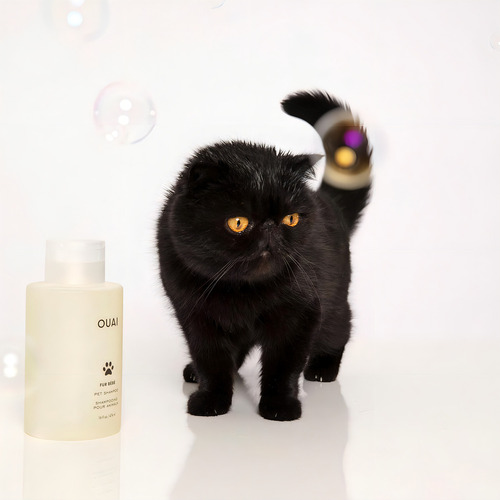 Ouai Ouai - Champú Para Mascotas Fur Bébé, Aroma Mercer