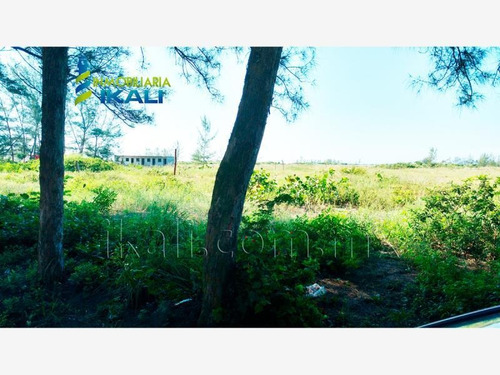 Imagen 10 de 12 de Terreno En Venta Tamiahua