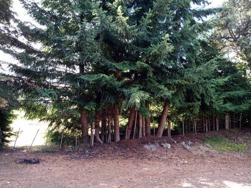 Imagen 9 de 16 de Lote / Terreno De 2.885m2 En Villa La Angostura