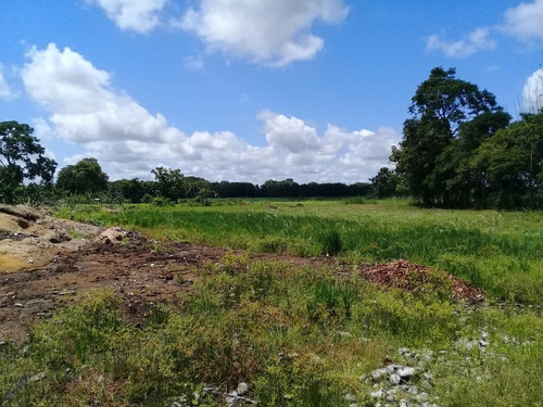 Imagen 2 de 14 de Se Vende Aserradero Edo Barinas