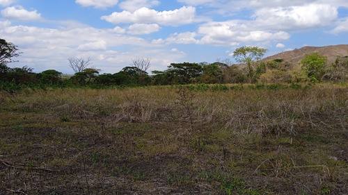 Imagen 8 de 14 de ¡venta! Lote De Terreno En Cúa