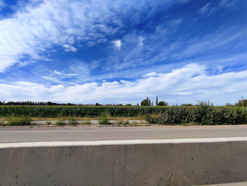Imagen 5 de 6 de Chacra En Venta En Cervantes