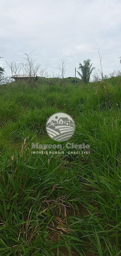 Imagem 2 de 9 de Venda Sítio Monte Negro Em Rondônia - Sig218