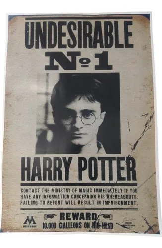 Pósters Medianos Harry Potter 45 Cms
