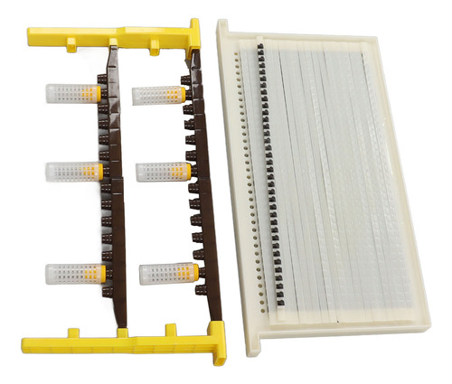 Kit De Crianza De Abejas Queen Bee, Juego De Marcos Para Cel