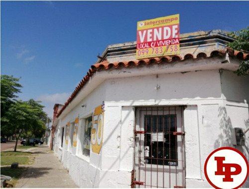 Local Con Casa 300 M2 En Batllet Y Ordoñez