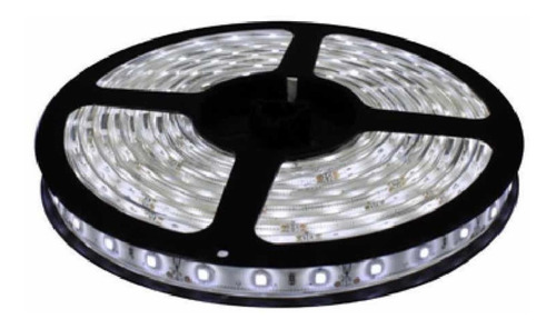 Cinta Led 5050 Blanca Con Adaptador X 5 Metros