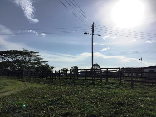 Imagen 10 de 13 de Venta Para Inversion Finca Hacienda En Produccion
