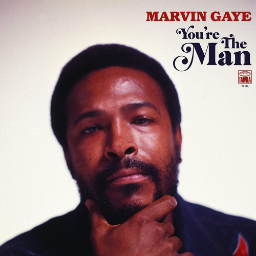 Vinilo: Gaye Marvin Tú Eres El Hombre De Ee. Uu. Import Lp V