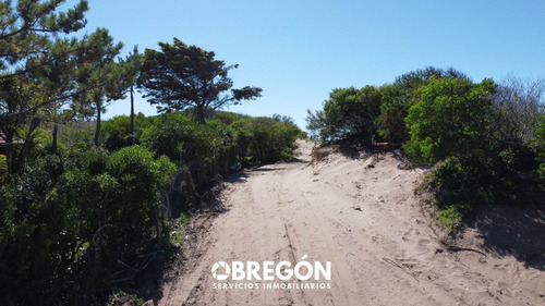 Imagen 6 de 13 de Lote En Venta Frente Al Mar En Pinamar En Oportunidad